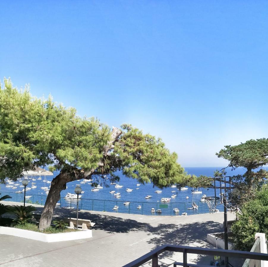 Calise Guest House Procida Exterior foto
